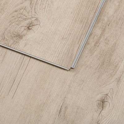 Dub severský šedý